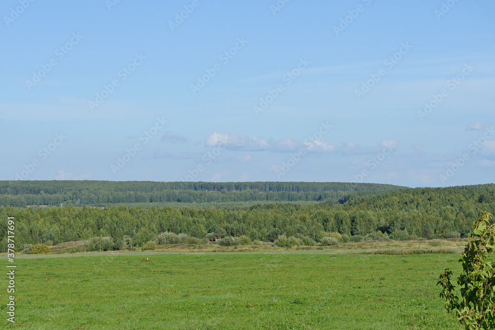 View of a green meadow with a forest background and a blue sky with white clouds
