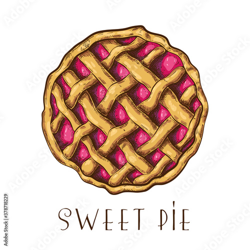 hand drawn apple pie, tart or cake with berries top view isolated on white. colored sketch of traditional pastry. vector illustration of sweet dessert with fruit or berry filling. holiday fall pie.
