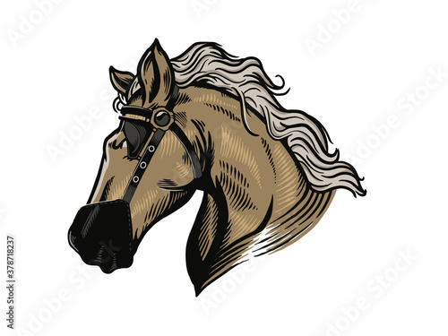 horse mascot