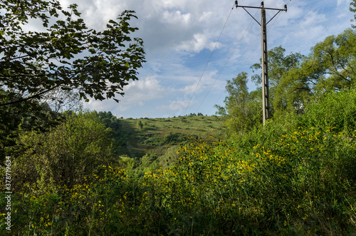 Fototapeta Naklejka Na Ścianę i Meble -  Szlak w Bieszczadach 