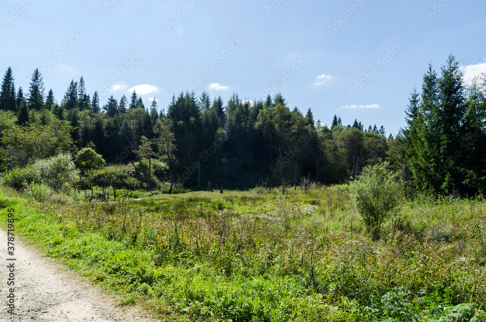 Obraz premium Bieszczady 