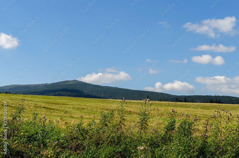 Fototapeta premium Bieszczady panorama