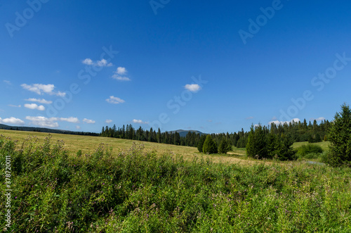Fototapeta Naklejka Na Ścianę i Meble -  Bieszczady panorama 