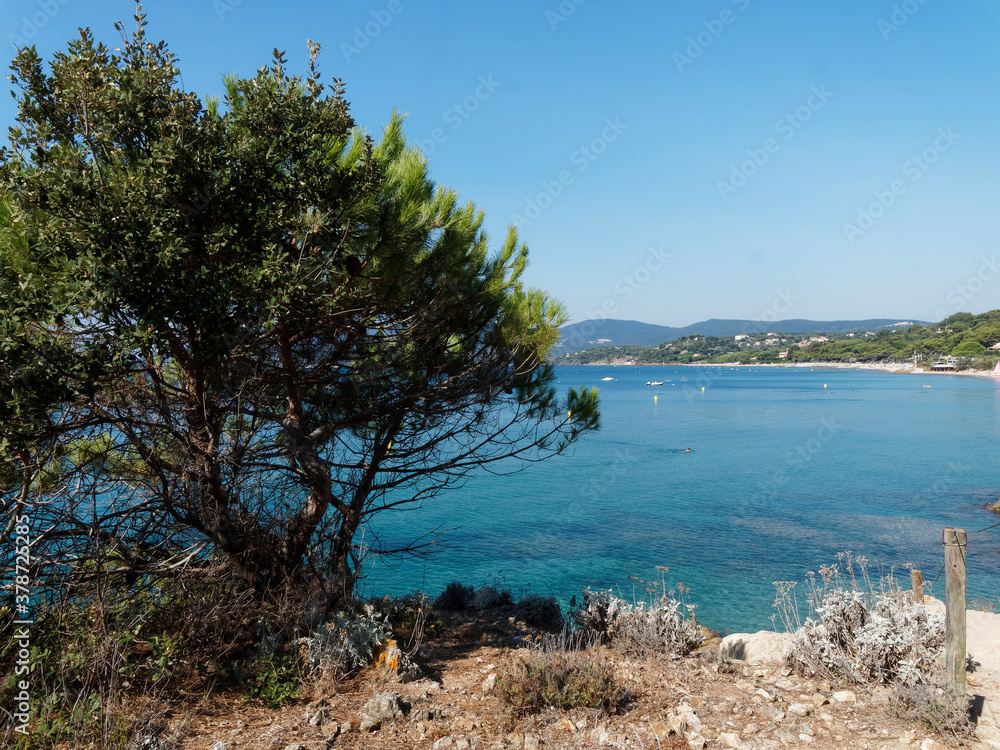 Fototapeta premium Magnificent view of Cavalaire bay from National park of Cap Lardier, Gigaro beach and La Croix Valmer, south of Saint-Tropez in Var, Provence-Alpes-Côte-d'Azur 