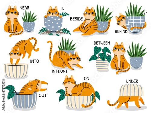 English prepositions. Educational visual material for kids learning language. Cute cat behind, above, near and under flower pot vector set. Foreign language for children illustration photo