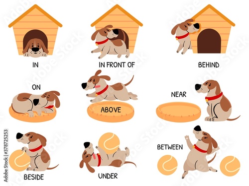 English prepositions with cute animal. Cartoon dog behind, above, near and under dog house, bowl. Learning words kids education vector set. Comic character with ball for learning visual material