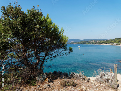 Magnificent view of Cavalaire bay from National park of Cap Lardier, Gigaro beach and La Croix Valmer, south of Saint-Tropez in Var, Provence-Alpes-Côte-d'Azur 
