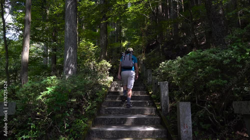 Back of male hiker walking up stone steps in forest setting. Locked off shot. Back of male hiker walking up stone steps in forest setting. Locked off shot.