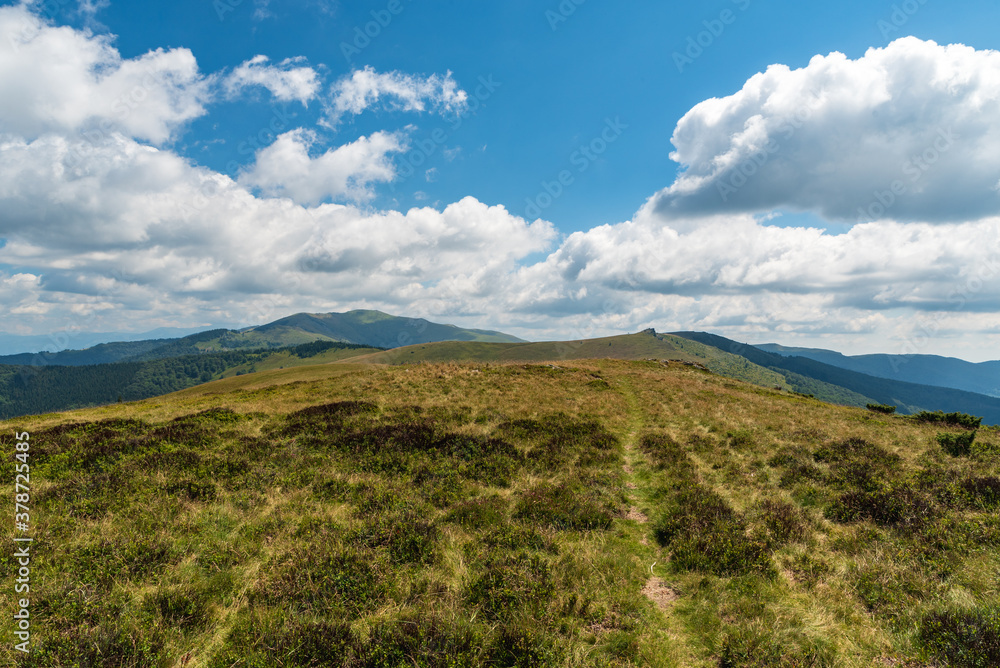 Muntii Valcan mountain in Romania with hills covered by mountain meadows with few rocks and forests Muntii Valcan mountain in Romania with hills covered by mountain meadows with few rocks and forests