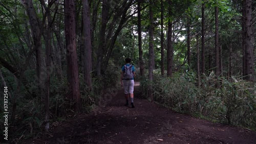 Wallpaper Mural Male hiker walking through dark and eerie forest with dense vegetation on top of forest ridgeline Torontodigital.ca
