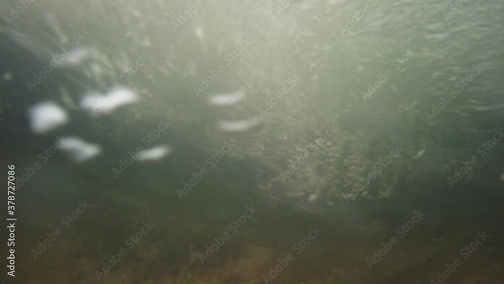 underwater bubbles from a rapid river underwater bubbles from a rapid river