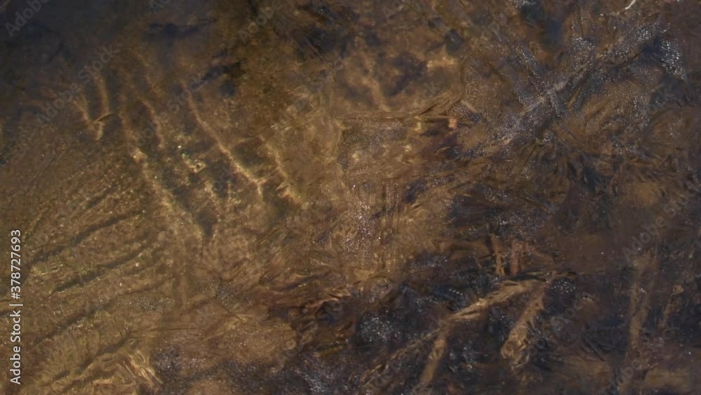 Small stream flowing under thin ice sheet. Slowmotion shot. Small stream flowing under thin ice sheet. Slowmotion shot.