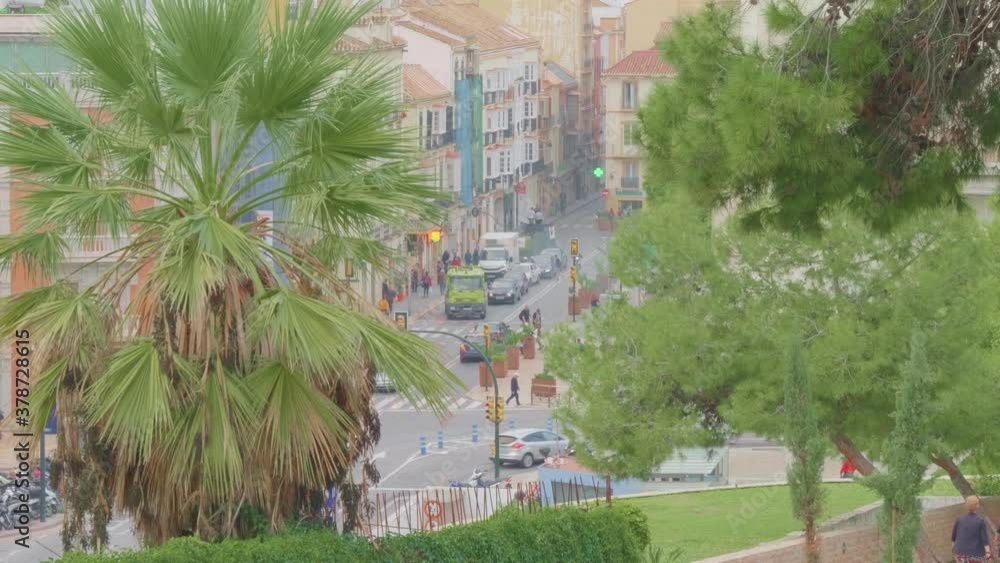 A top view of the Malaga street with traffic over the trees, Spain. A top view of the Malaga street with traffic over the trees, Spain.