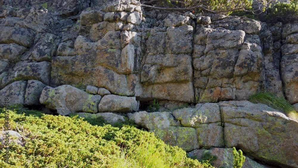 Close up view of a beautiful rock wall in the mountain. Detail view of rock formation. Green vegetation. Summer day in Pirin. Pan left. Close up view of a beautiful rock wall in the mountain. Detail view of rock formation. Green vegetation. Summer day in Pirin. Pan left.