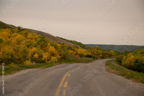 Fall Colours along the roadway in Qu'Appelle Valley, Saskatchewan, Canada