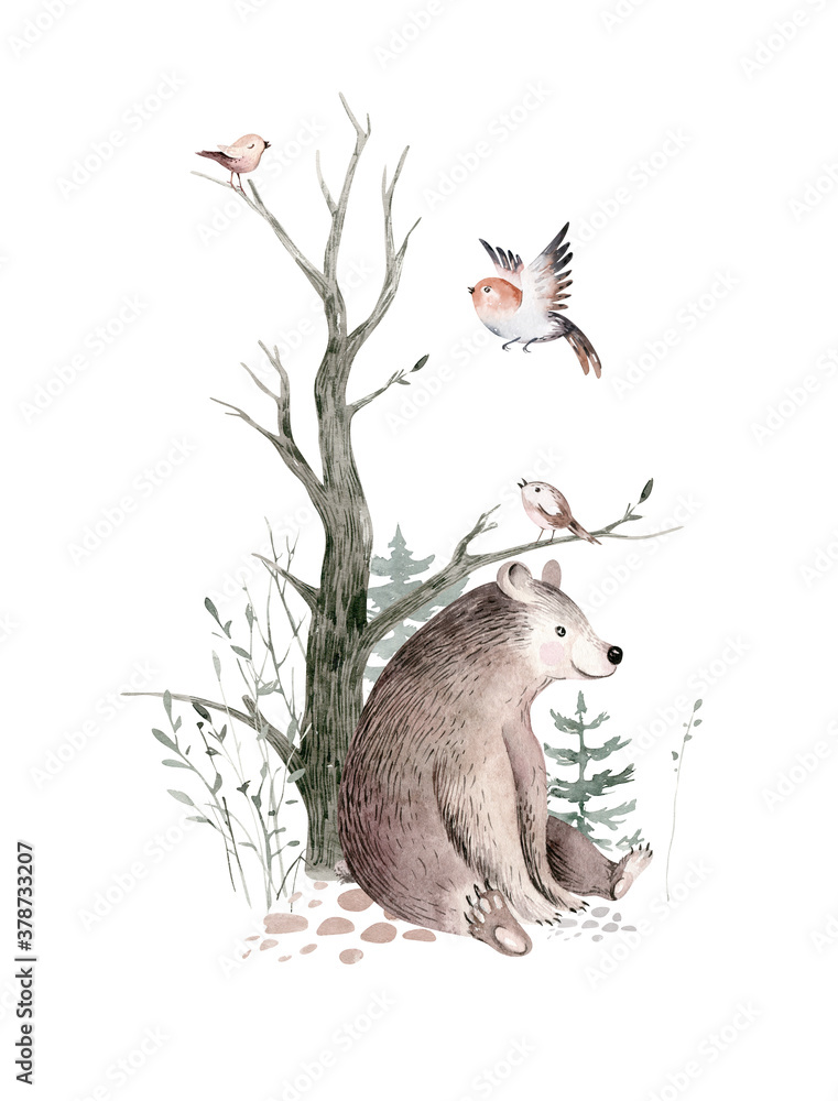 Fototapeta Woodland watercolor cute animals baby bear. Scandinavian bear orest nursery poster design. Isolated charecter