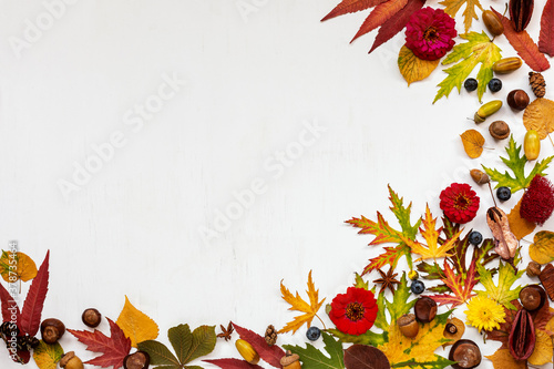 Autumn composition. Dried leaves, flowers, berries, acorns, chestnuts, on white background. Autumn, fall, greeting card, thanksgiving day concept. Flat lay, top view, copy space for text.