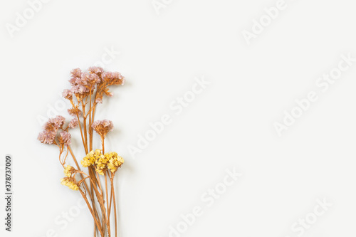 Flores silvestres secas sobre un fondo blanco liso y aislado. Vista superior. Copy space photo