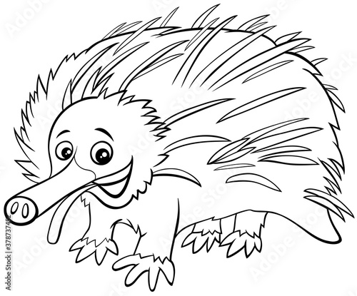 funny cartoon echidna animal coloring book page