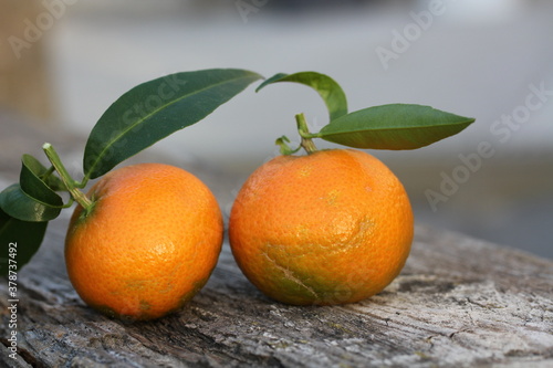 Mandarina | Mandarine