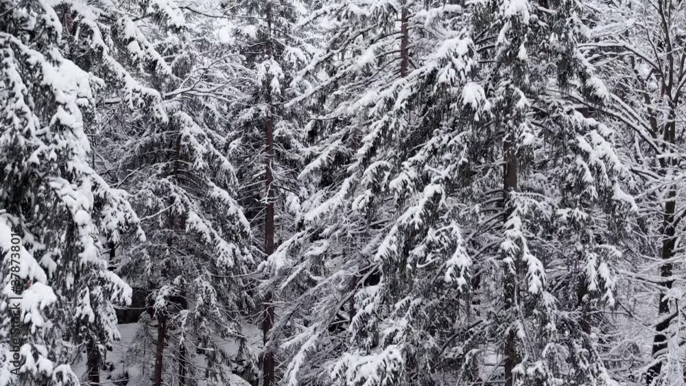 Aerial view rising in front of snowy trees, revealing a small cottage, a river and a bridge, in middle of snow covered forest, on a dark, overcast, winter day - tilt down, drone shot Aerial view rising in front of snowy trees, revealing a small cottage, a river and a bridge, in middle of snow covered forest, on a dark, overcast, winter day - tilt down, drone shot