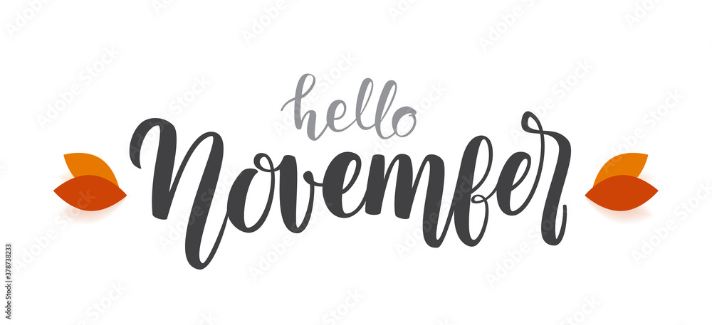 Fototapeta premium Autumn handwritten type lettering of Hello November with fall leaves.