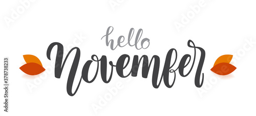 Autumn handwritten type lettering of Hello November with fall leaves.