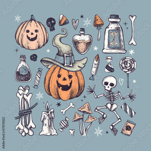 Halloween. Halloween decor. Vector Hand Drawn. Line art. Sketch Illustration. Collection of elements: skeleton, pumpkin, candle, bones, spider web, mushrooms, potion, poison, bats.