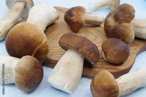 Boletus mushrooms on a wooden tray. Boletus edulis. Closeup