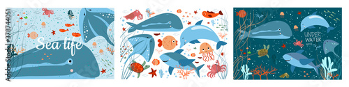 Sea life. Underwater world. set. whale, shark, dolphin, crab, starfish, algae, jellyfish, stingray. children's wallpaper.