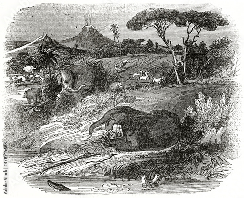 Old illustration depicting Prof. Kaup's restoration of Dinotherium giganteum on a primitive landscape. Ancient engraving style art by unidentified author, The Penny Magazine, London 1837 photo