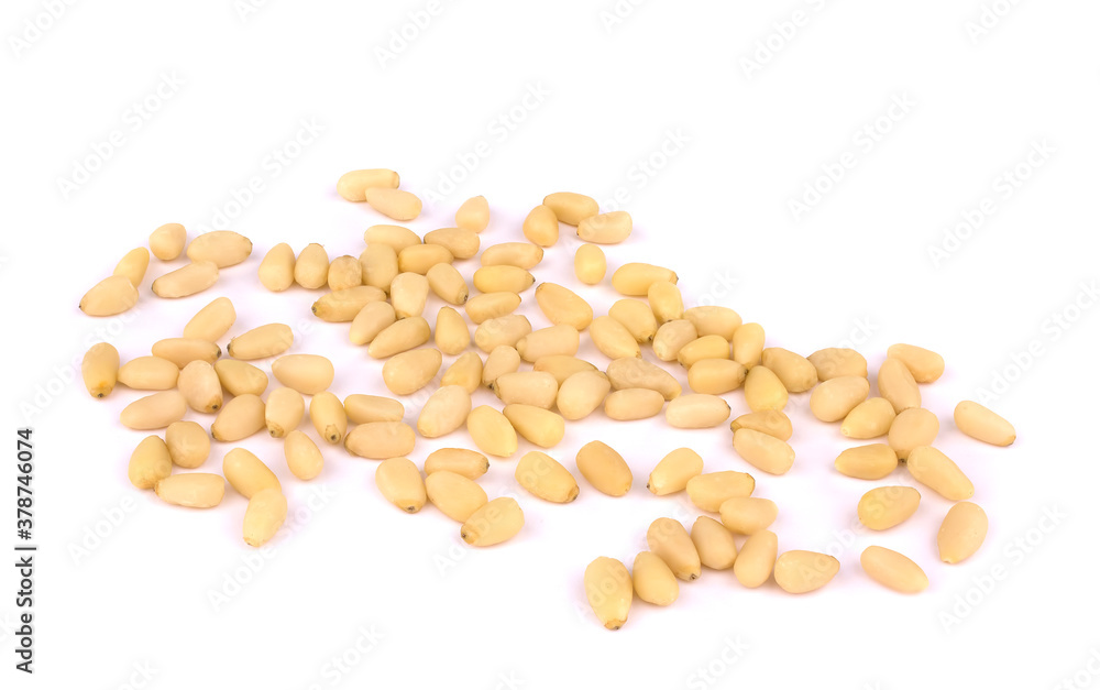 pine nuts isolated on white background pine nuts isolated on white background