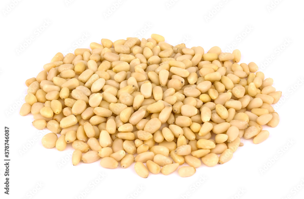 pine nuts isolated on white background pine nuts isolated on white background