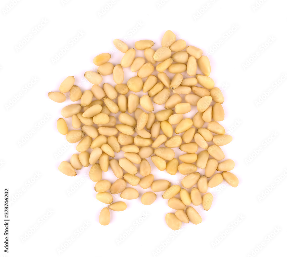 pine nuts isolated on white background pine nuts isolated on white background