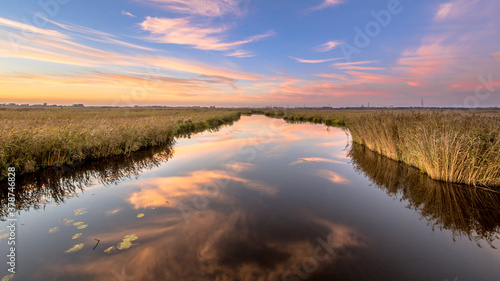 River through marshland with floating water lily