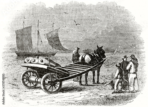 Photography Cart carrying fishing products on shoreline fronting sea with sailboat