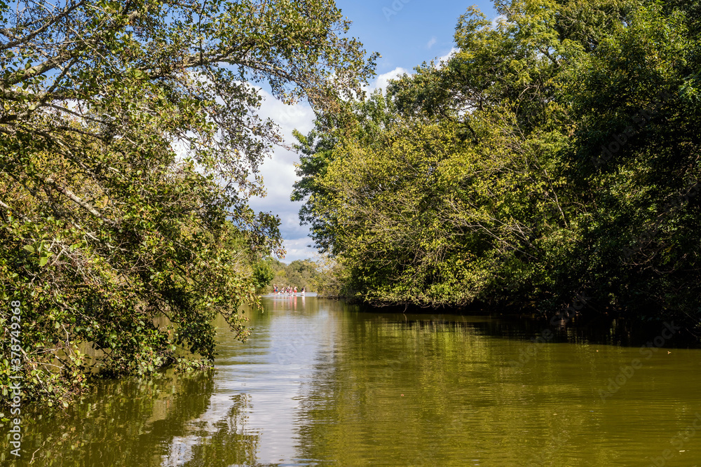 Fototapeta premium paddle board ride along a river
