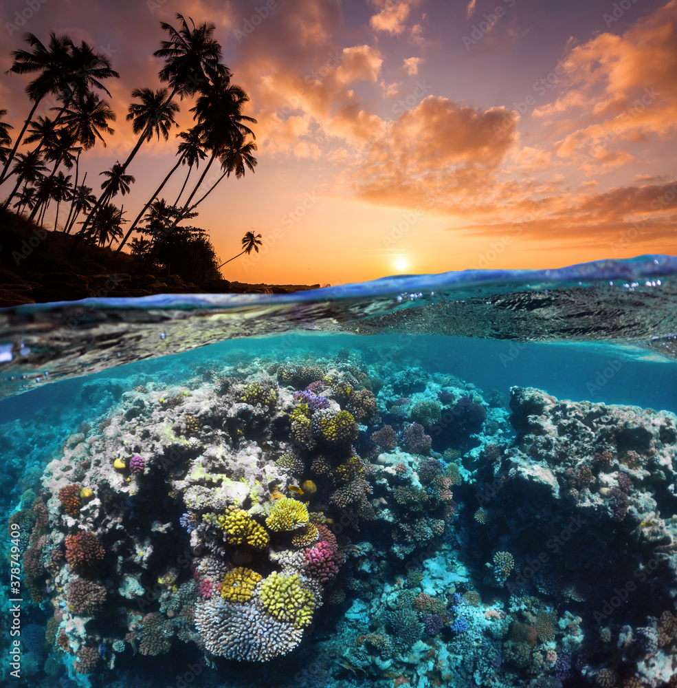 Underwater Scene With Reef And Tropical Fish. Snorkeling in the tropical sea. Summer vacation at sea