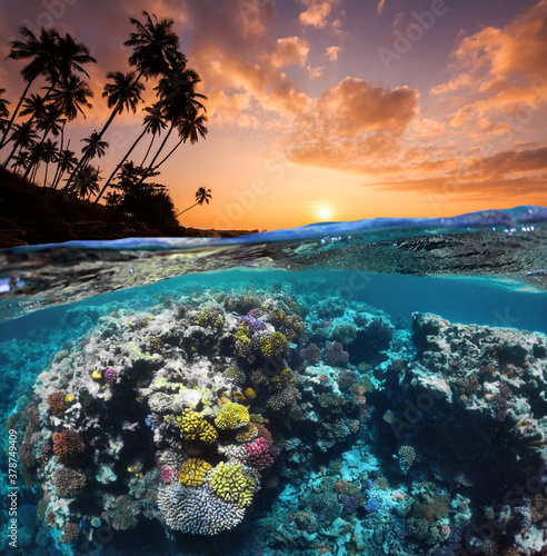 Underwater Scene With Reef And Tropical Fish. Snorkeling in the tropical sea. Summer vacation at sea