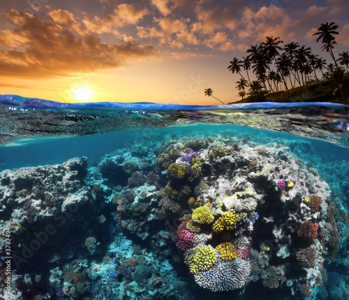 Underwater Scene With Reef And Tropical Fish. Snorkeling in the tropical sea. Summer vacation at sea