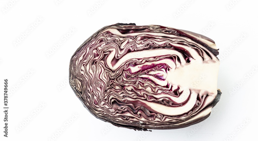 Obraz premium cut red cabbage isolated on white background