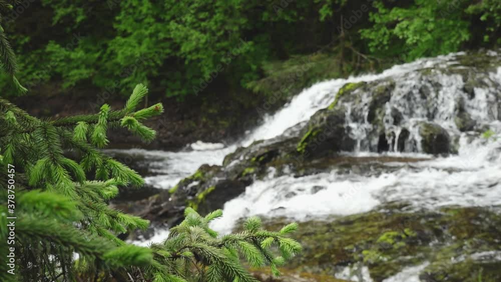 Pavlof River Rushing Over Rocks Behind Sitka Spruce Leaves in Southeast Alaska Pavlof River Rushing Over Rocks Behind Sitka Spruce Leaves in Southeast Alaska
