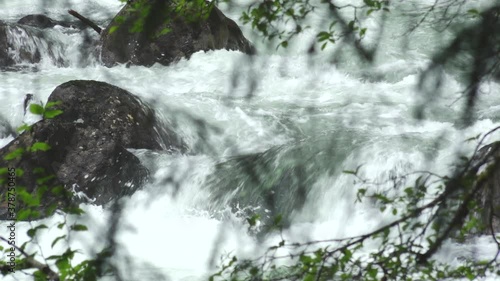 Rushing Creek Over Rocks Through Spruce Branches in Southeast Alaska photo