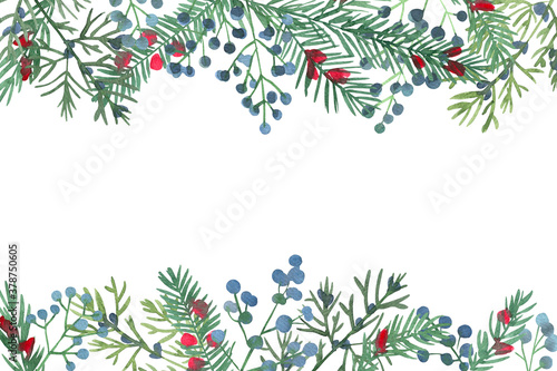 Ornaments from the branches painted with watercolors on white background. Branches of trees. photo