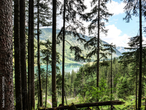 Hiking in the Alps - Tannheimer Tal 