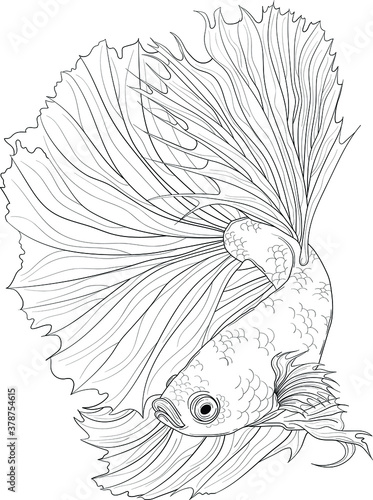 Realistic dragon fish sketch. Fighting fish vector illustration in black and white for games, background, pattern, decor. Print for fabrics and other surfaces. Koi fish coloring paper, page, book.