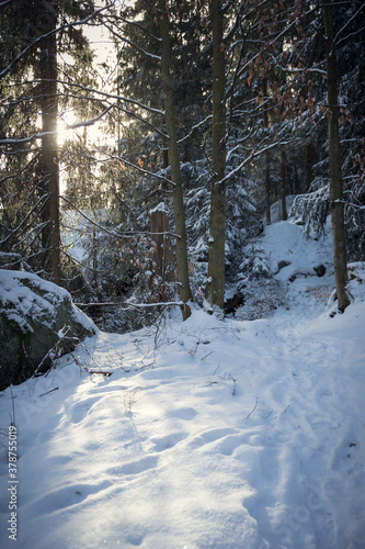 Wandern am Goldsteig - winterlicher Naturpark Steinwald © Georg Neumann