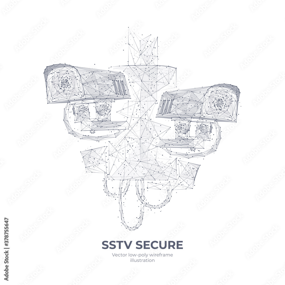 Obraz premium Abstract 3d illustration of two SSTV cameras. Polygonal mesh wireframe isolated in white background. Slow scan television secure concept with connected dots and lines. Vector sketch drawing