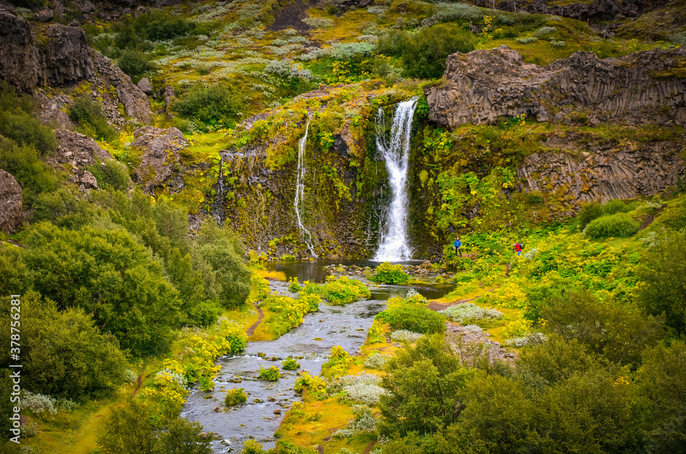 Fototapeta premium The photo shows The Gjain. The place on Iceland with scenic waterfalls and ponds.
