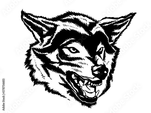 Wolf's face